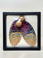 Earrings By Jackie Wirramanda